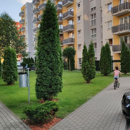 Brasov Kronstadt Garden Studio Braşov Exterior foto